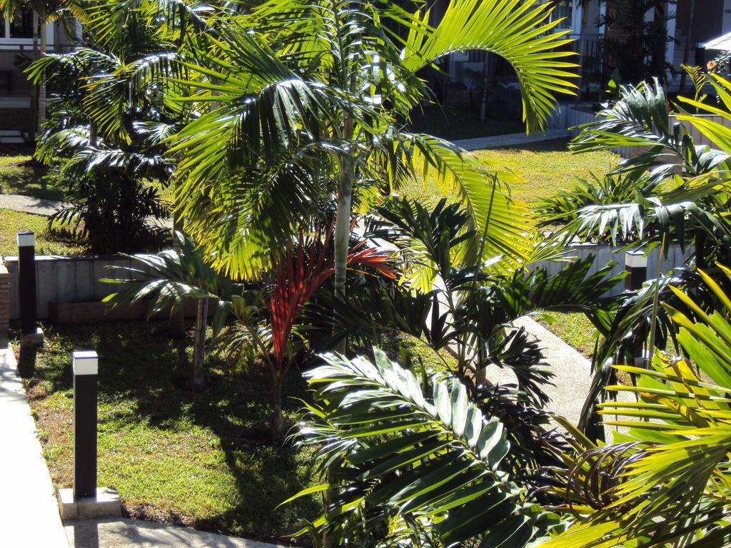 Hotel Colibri Kone Exterior photo